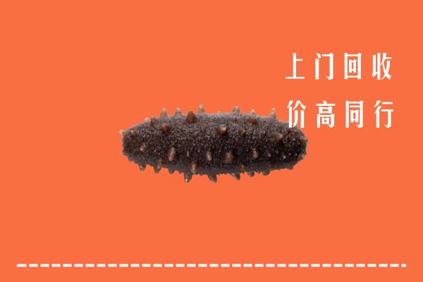 株洲高价回收海参